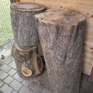 Holzstämme